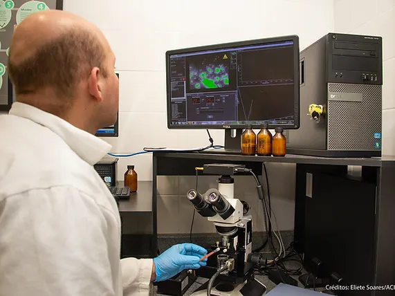 inct-nanoagro